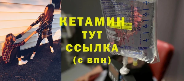 прущие грибы Дмитровск