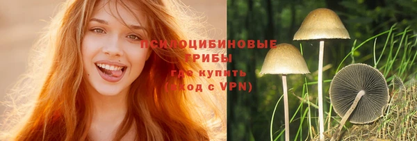 синтетический гашиш Дмитров