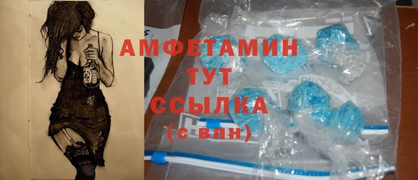 прущие грибы Дмитровск