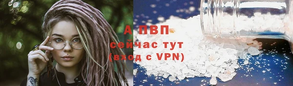 прущие грибы Дмитровск