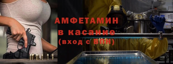 прущие грибы Дмитровск
