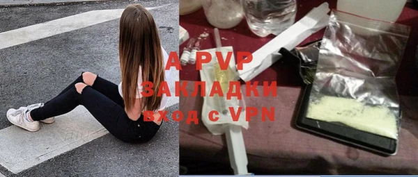 стафф Дмитриев