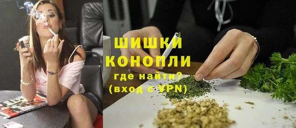 прущие грибы Дмитровск