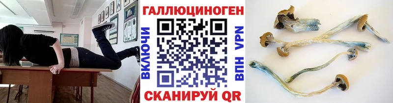 Галлюциногенные грибы GOLDEN TEACHER  Купить закладки  Новоржев 